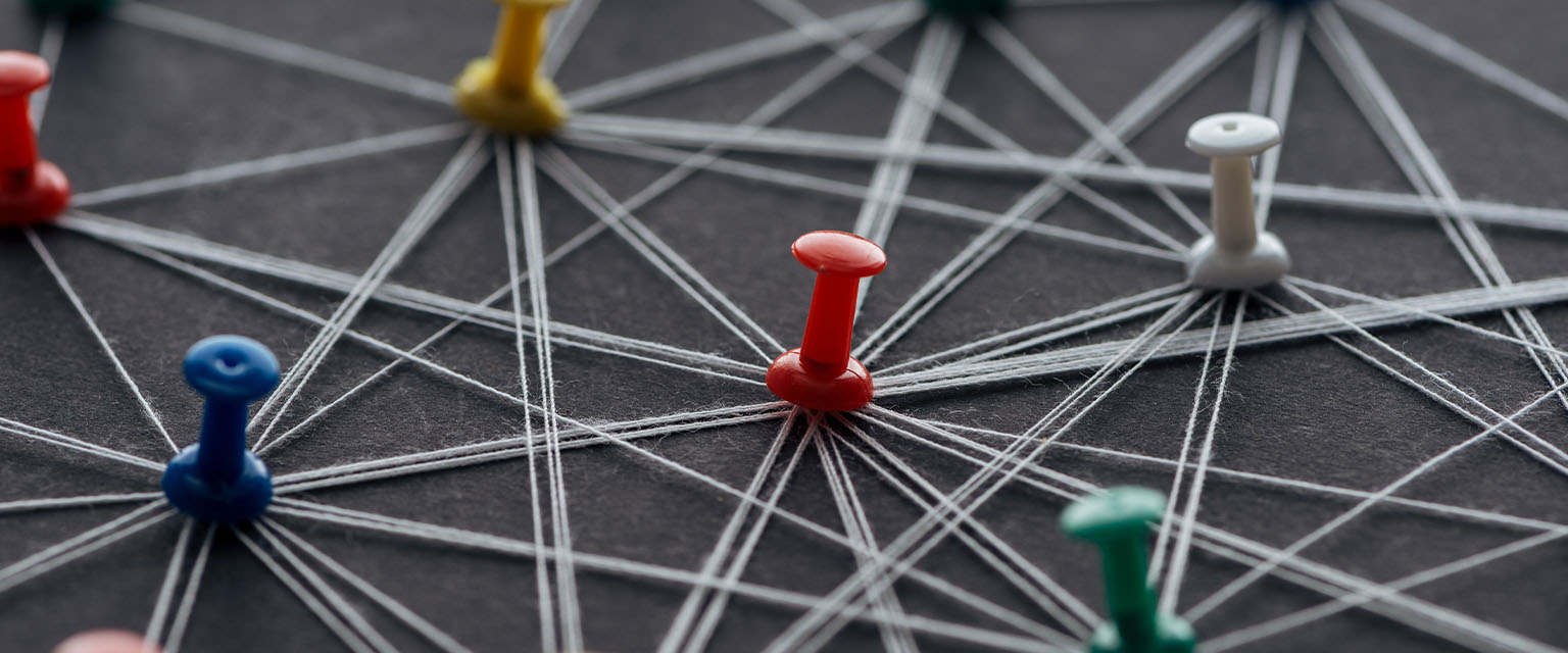 Tailored Website Solutions